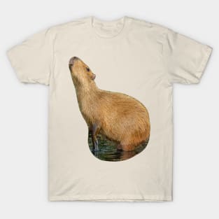 Capybara sniffing the morning air T-Shirt